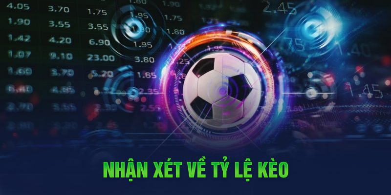 82vn Trăm Knorr