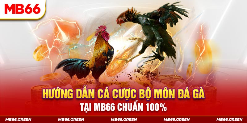 82vn slot là gi