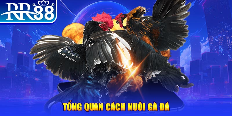 82vn game nổ hũ rút tiền mặt là gì