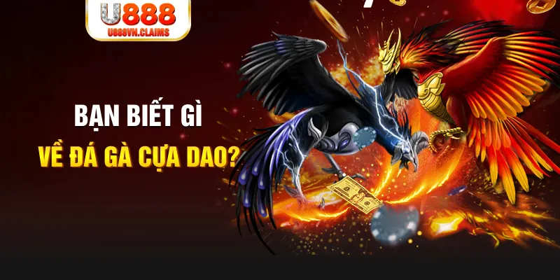 82vn SW Xổ Số