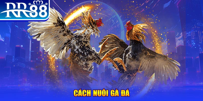 82vn đăng nhập phỏm đổi thưởng