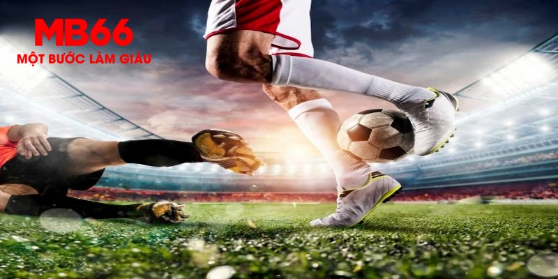 82vn trực tiếp đá gà thomo