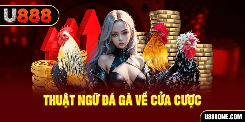 82vn hơn cả bạn bè