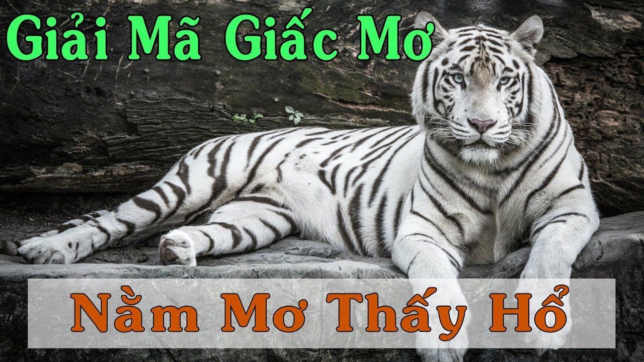 82vn nổ hũ là game gì