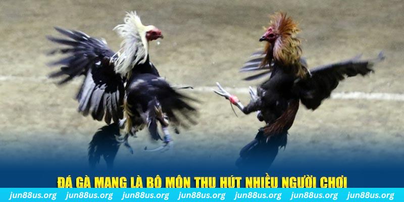 82vn nổ hủ nghĩa là gì