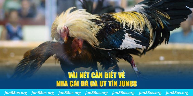 82vn đăng nhập phỏm khuyến mãi