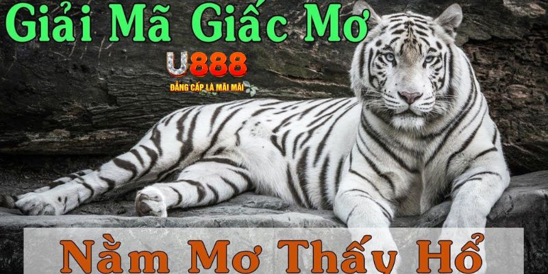 82vn xổ số miền bắc xổ số miền bắc