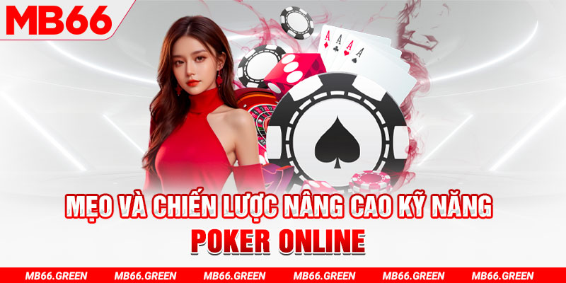 82vn chổi lông gà