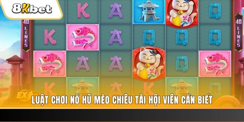 82vn máy bay nổ hủ