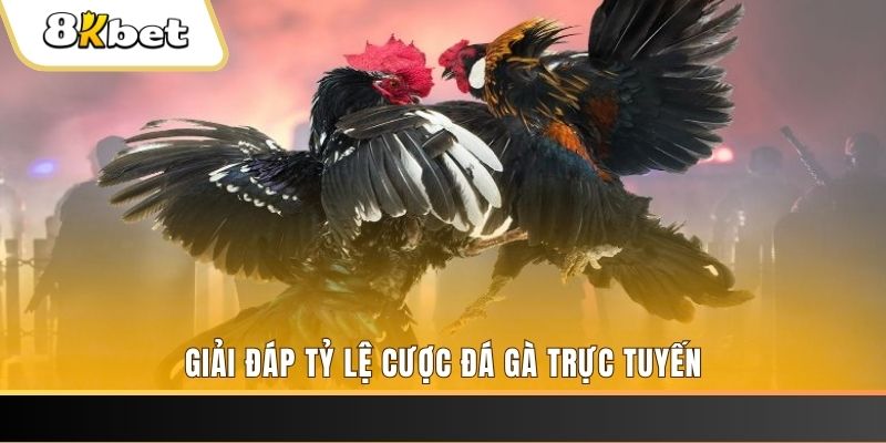 82vn ga choi cau thanh