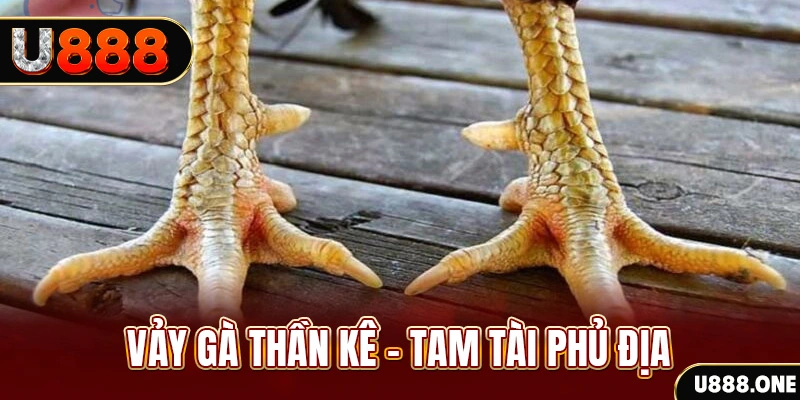 82vn xổ số miền trung thứ hai hàng tuần