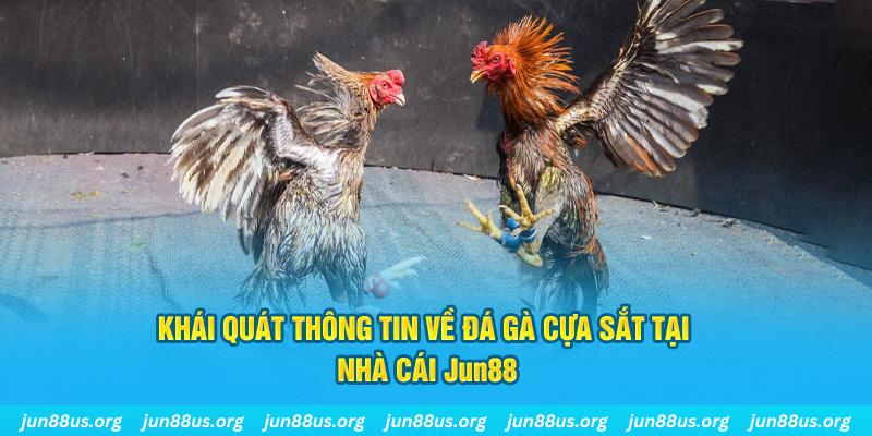 82vn xổ số miền bắc thứ bảy hàng tuần