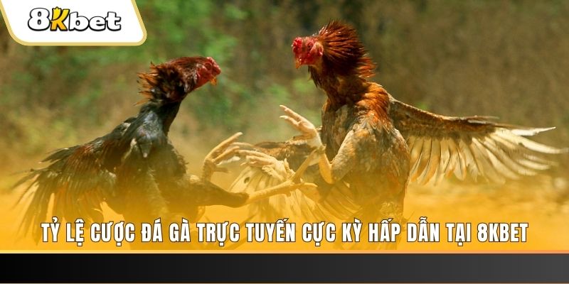 82vn đăng nhập nổ hũ trực tuyến