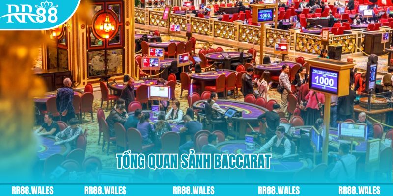 82vn what is a casino jackpot