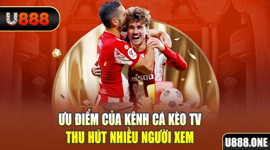 82vn gà chọi cu cần