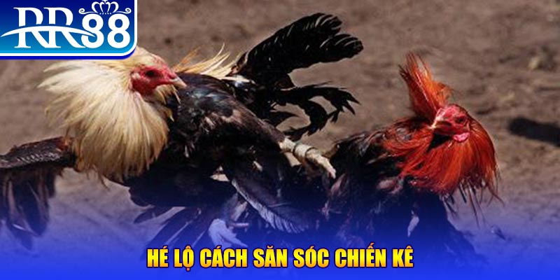 82vn xổ số miền trung thứ tư