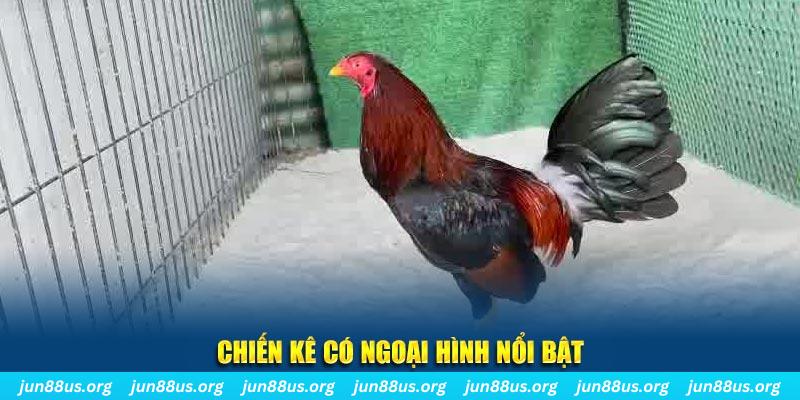 82vn game bắn cá