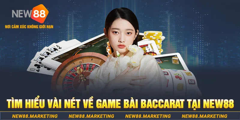 82vn gà chọi c1 ô taxi
