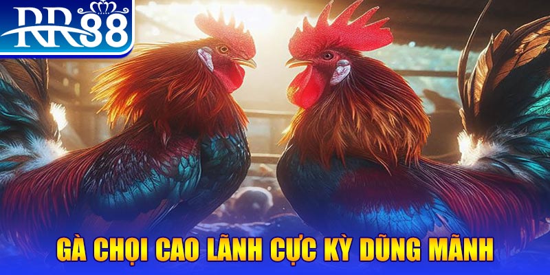 82vn HB Điện Tử